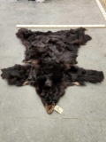 Black Bear Tanned Fur Taxidermy