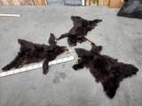 3 Black Bear Tanned Furs Taxidermy