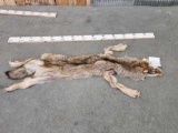 Alaskan Wolf Tanned Fur