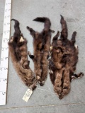 3 Fisher Cat Tanned Furs Taxidermy