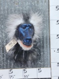 Mandrill Baboon Reproduction Shoulder Mount Taxidermy