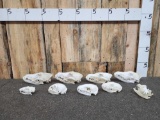 Assorted Small Animal Skull Lot Taxidermy