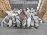 20 Big Bushy Indigo Ranch Fox Tails Taxidermy