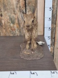 African Springhare Full Body Taxidermy Mount