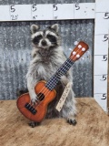 Country Musician Raccoon Full Body Taxidermy Mount
