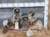 Family Of Racoons Fishing In A Birch Bark Canoe Taxidermy