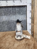 Sheriff Squirrel Full Body Taxidermy