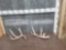 2 Mule Deer Shed Antlers