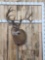 Boone & Crocket All Time Book Whitetail Shoulder Mount Taxidermy