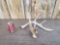 Wild Iowa 5 Point Whitetail Shed Antler