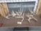 7 Single Whitetail Shed Antlers