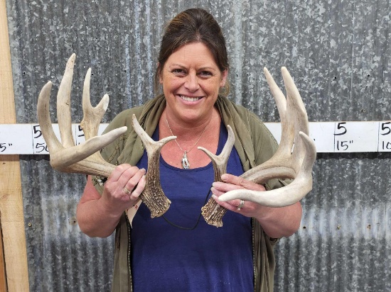 Heavy Mass 5x5 Whitetail Shed Antlers