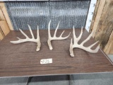 3 Mid To High 70 ass Whitetail Shed Antlers