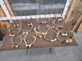 15 Sets Of Whitetail Antlers On Skull Plate