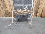 20.8 lbs Of Elk Antler