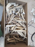 31 Pounds Of Antler Tips
