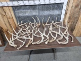 24 lbs Of Whitetail Shed & Cut Off Antlers