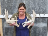 Heavy Mass Nontypical Whitetail Shed Antlers