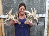 Mini Monster Whitetail Shed Antlers