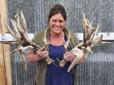 Big Nontypical Whitetail Shed Antlers