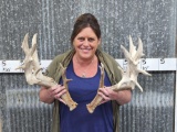 Heavy Mass Whitetail Shed Antlers