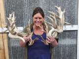 GIANT Nontypical Whitetail Shed Antlers