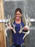 Big Main Frame 5x5 Whitetail Shed Antlers