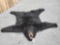 Nice Black Bear Rug Taxidermy