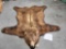 Alaskan Brown Bear Rug Taxidermy