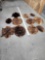11 Soft Tanned Beaver Furs Taxidermy