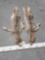 2 Alaskan Lynx Tanned Furs Taxidermy