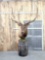 Giant Elk Pedestal Taxidermy Mount