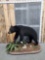 Black Bear Full Body Taxidermy Mount