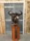 African Wildebeest Pedestal Taxidermy Mount