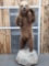 Grizzly Bear Full Body Taxidermy Mount