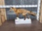 Red Fox Full Body Taxidermy Mount
