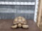 Sulcata Tortoise Full Body Taxidermy Mount