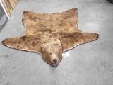 Vintage Grizzly Bear Rug Taxidermy