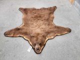 Cinnamon Color Phase Black Bear Rug Taxidermy