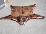 Cinnamon Phase Black Bear Rug Taxidermy