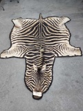 Zebra Rug Taxidermy