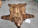 Alaskan Brown Bear Rug Taxidermy