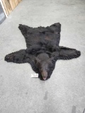 Black Bear Rug Taxidermy