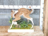 Piebald Whitetail Fawn Full Body Taxidermy Mount