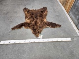 Alaskan Grizzly Bear Tanned Fur