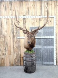 Giant Elk Pedestal Taxidermy Mount