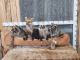 Noah's Ark 5 Critters In A Birch Bark Canoe