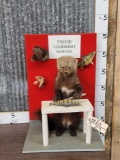 Fisher Doing Taxidermy Full Body Taxidermy Mount