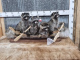 Family Of 4 Raccoons Fishing In A Birch Bark Canoe Taxidermy