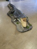 GIANT 12' Alligator Full Body Taxidermy Mount